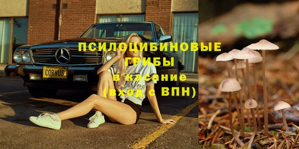 синтетический гашиш Алексин