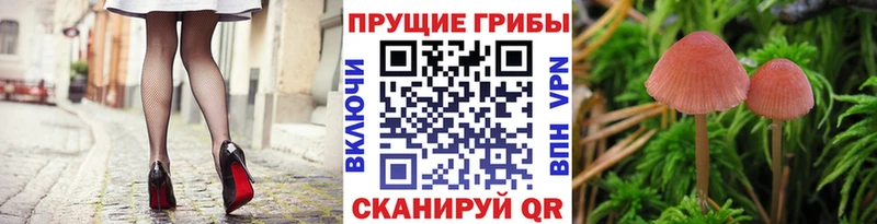 Галлюциногенные грибы Magic Shrooms  купить   Алушта 